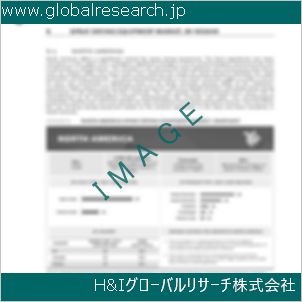 グローバルリサーチ調査資料のイメージ